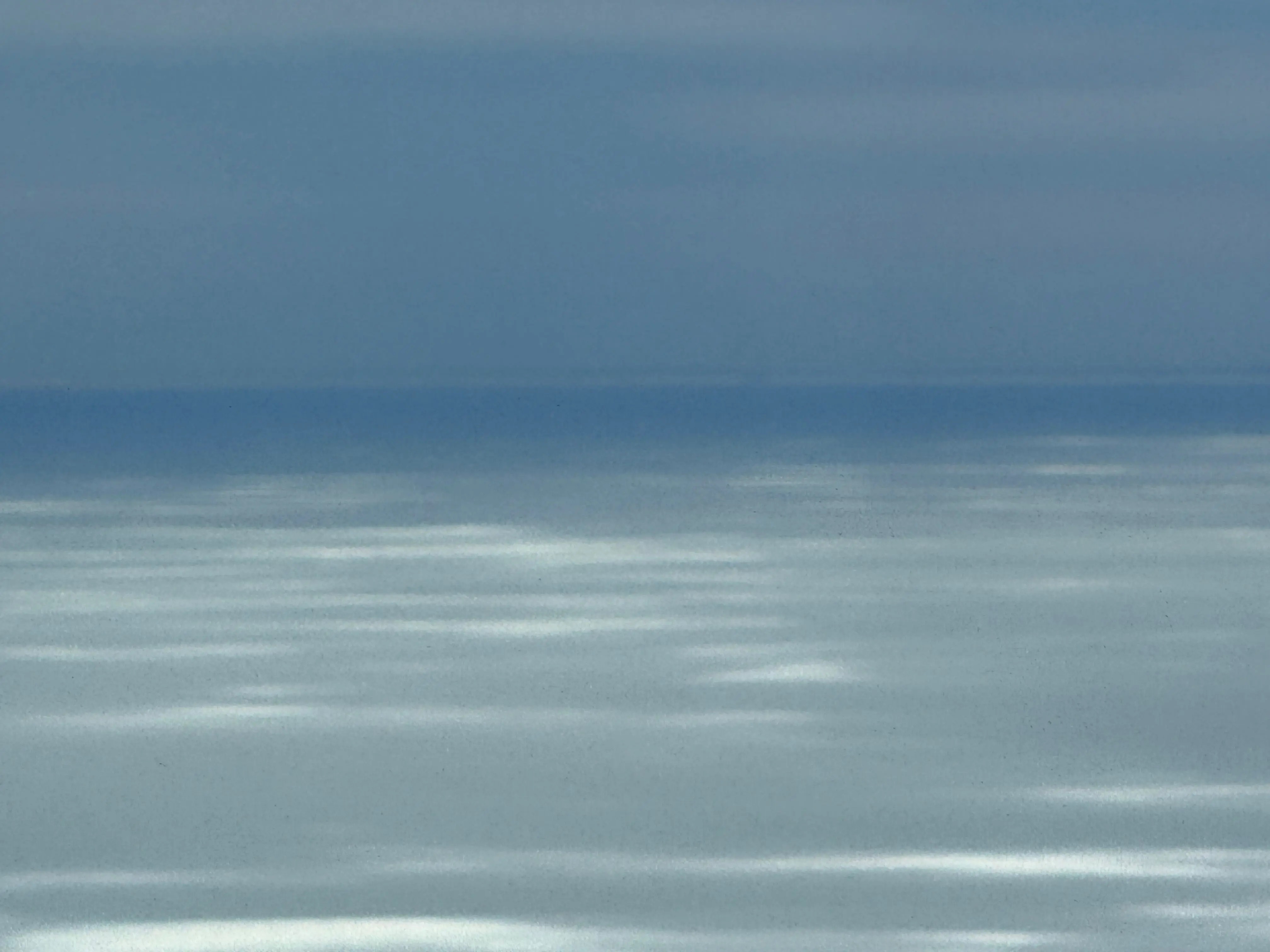 Ephemera specimen